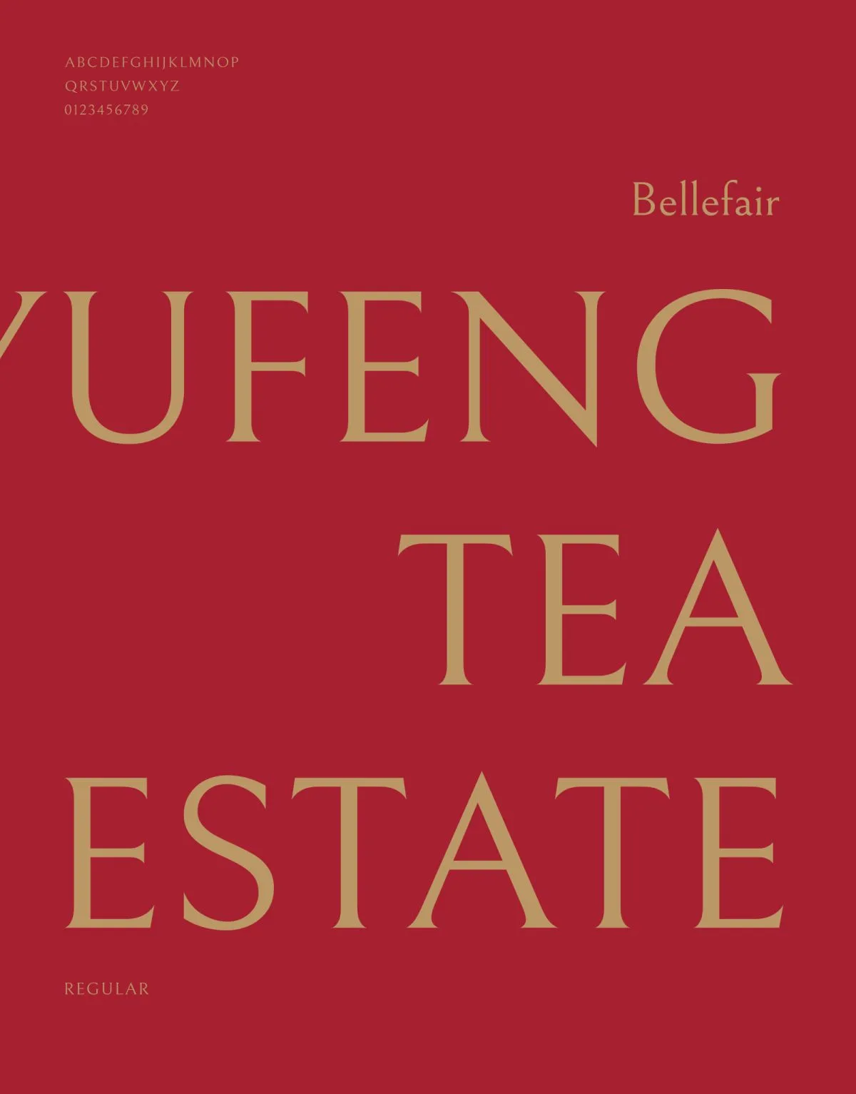 玉峰製茶廠識別設計專案 作品圖片 6
